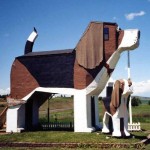 hotel-chien
