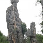 foret-kunming foret-kunming
