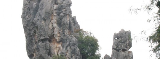 foret-kunming