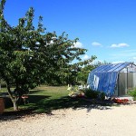 serre-romantique-vienne