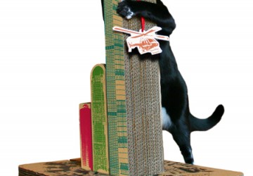 grattoir-chat-new-york
