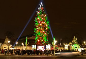 sapin-geant-paris