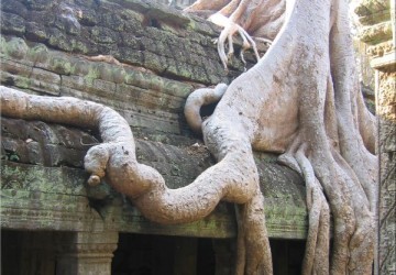 angkor angkor