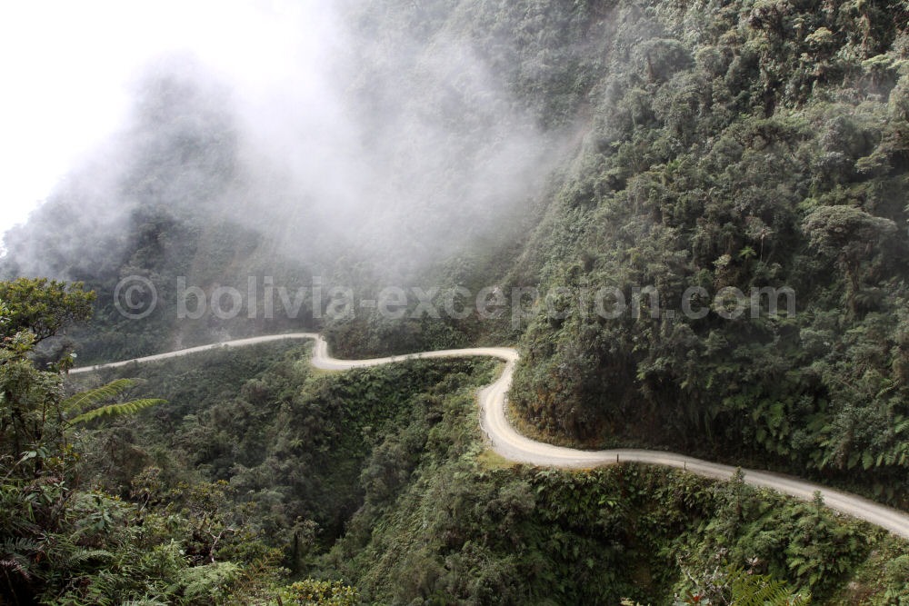 Ruta de la Muerte, Yungas, Bolivia.jpg.client.x675