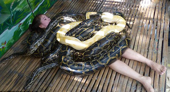 python-massage-main