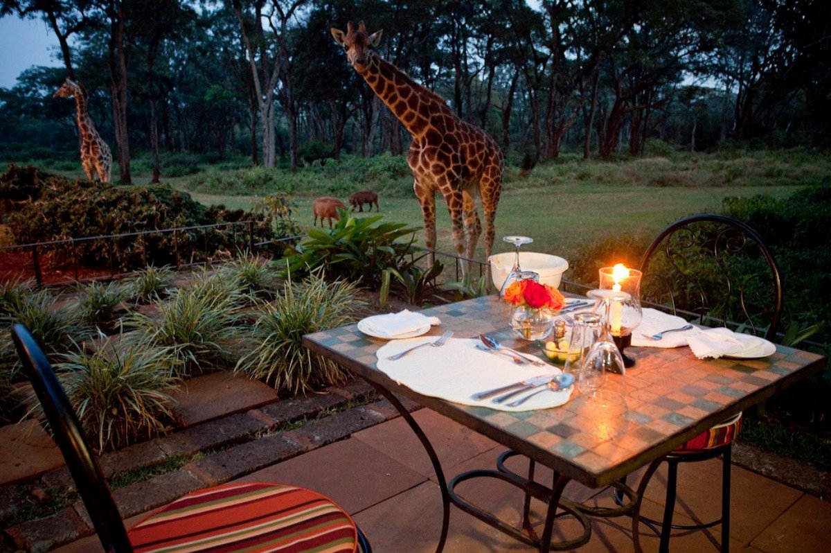 hotel_girafes_kenya4