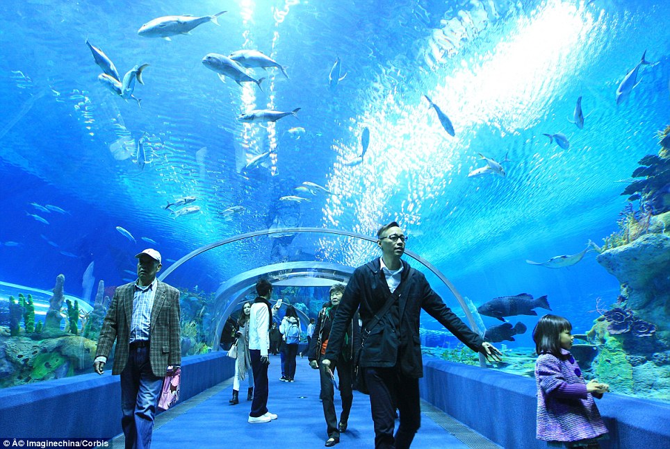 l'aquarium le plus grand au monde en Chine