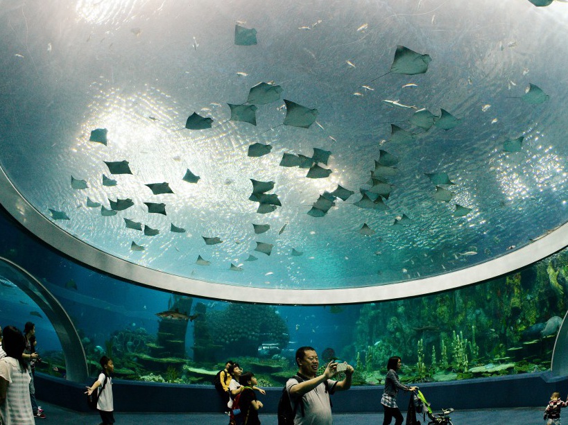 l'aquarium le plus grand au monde en Chine
