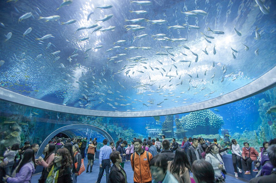 l'aquarium le plus grande au monde en Chine
