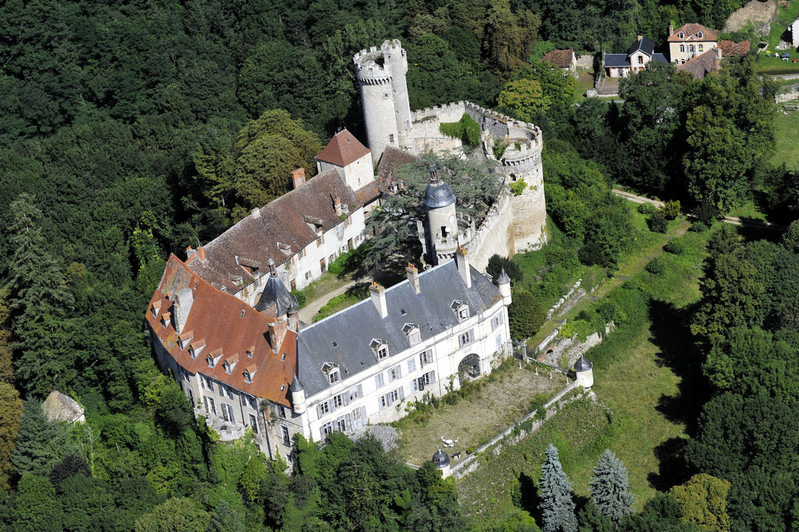 Le Château de Veauce 