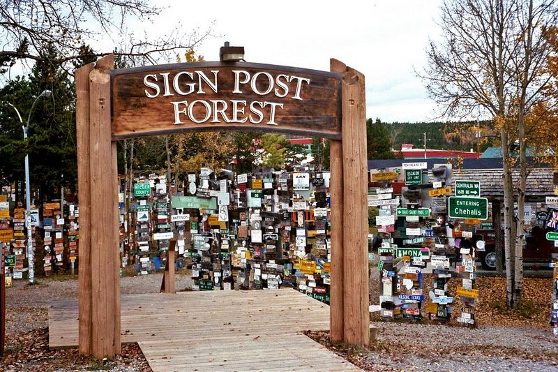 sign post Forest au Yukon