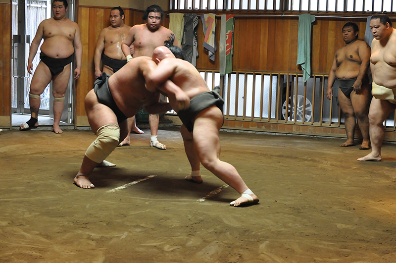 entrainement sumo