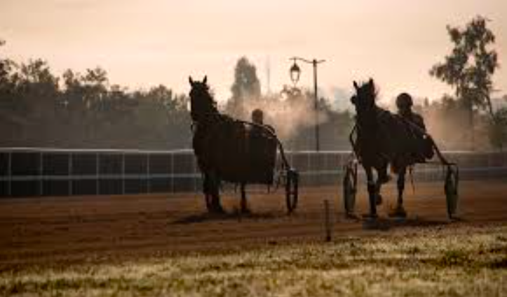 Entraînement à Grosbois
