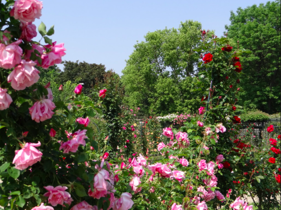 La Roseraie à l'Hay les Roses