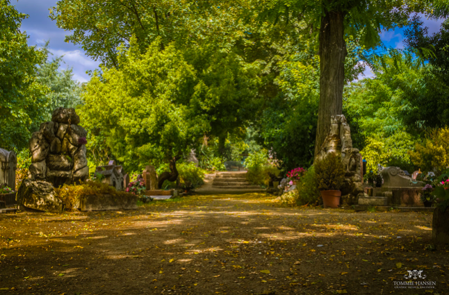 Cimetière pour chiens