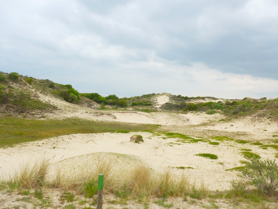 dunes-pays-bas