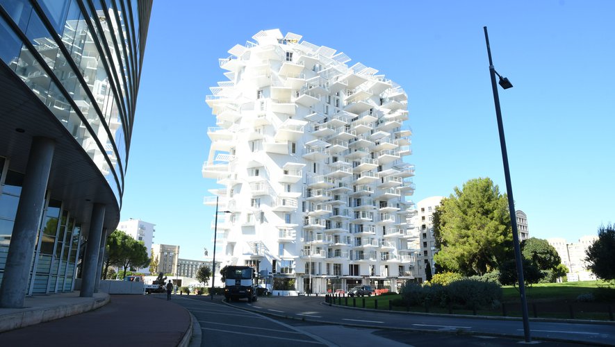 Arbre géant blanc