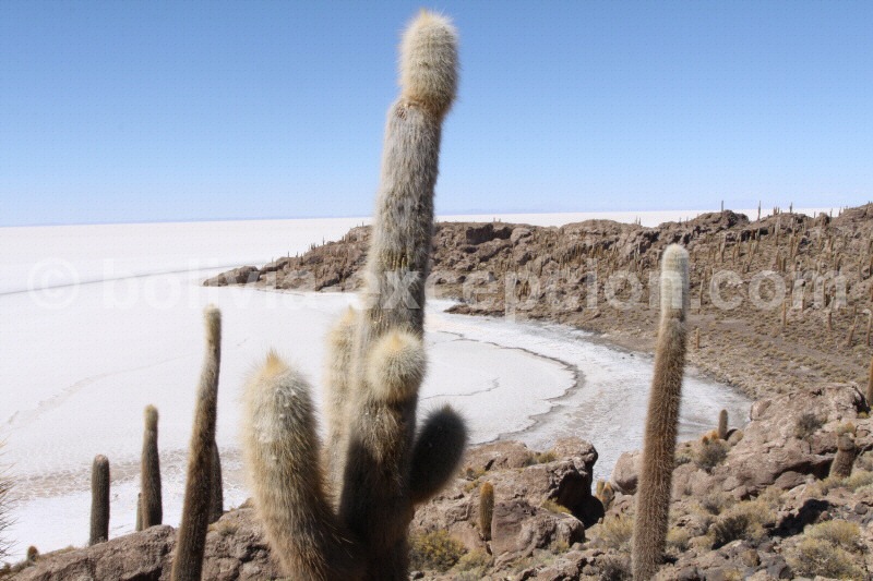 Salar de Uyuni, Bolivie - Crédit Bolivia Excepcion.jpg.client.x675