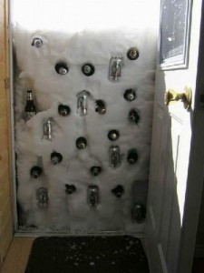 frigo_insolite