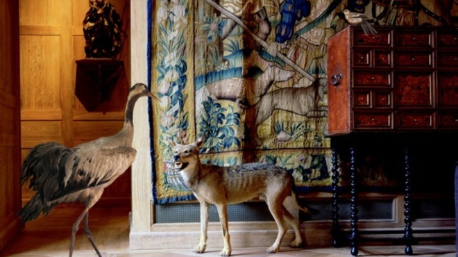 Musée de la Chasse et de la Nature