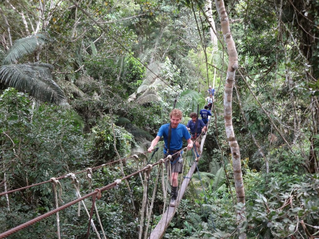 canopee_amazonie_perou