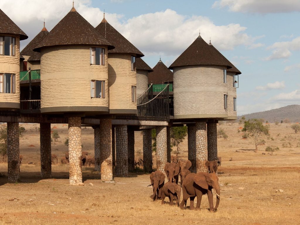 sarova-salt-lick-game-lodge-tsavo-kenya