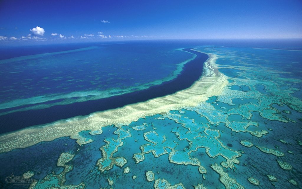 barrière de corail australie