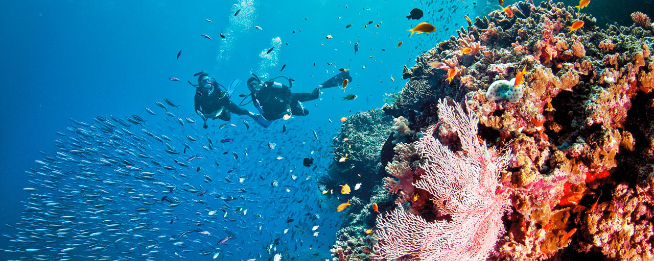 grande-barriere-corail-australie