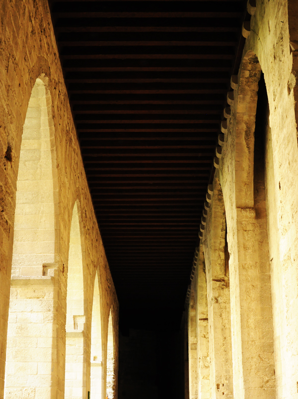 avignon