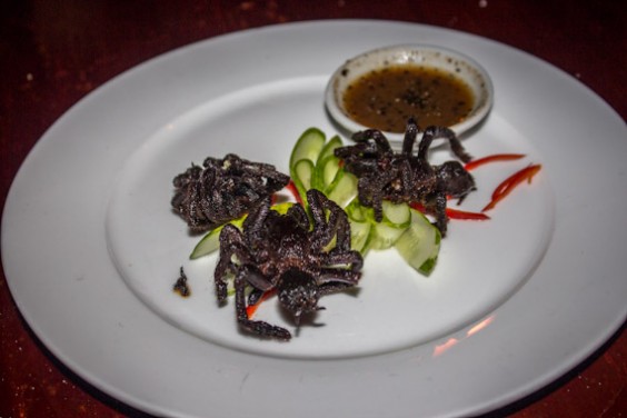 plat d'araignées