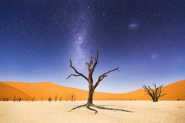 Une nuit à Dead Vlei