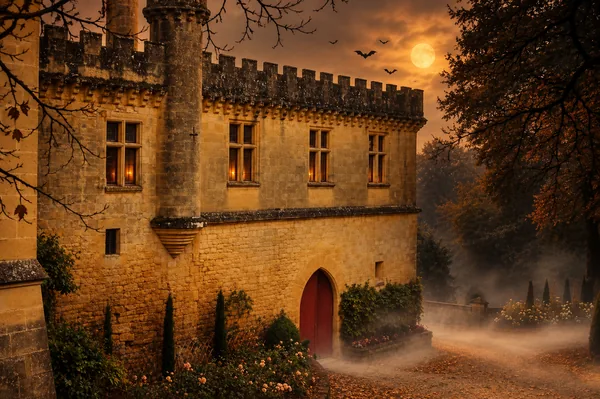 Le château de Puymartin dans la brume