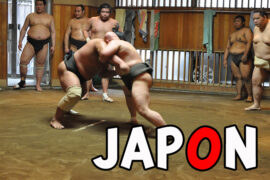 entrainement sumo tokyo