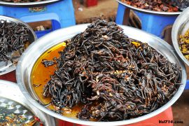 mygale frite