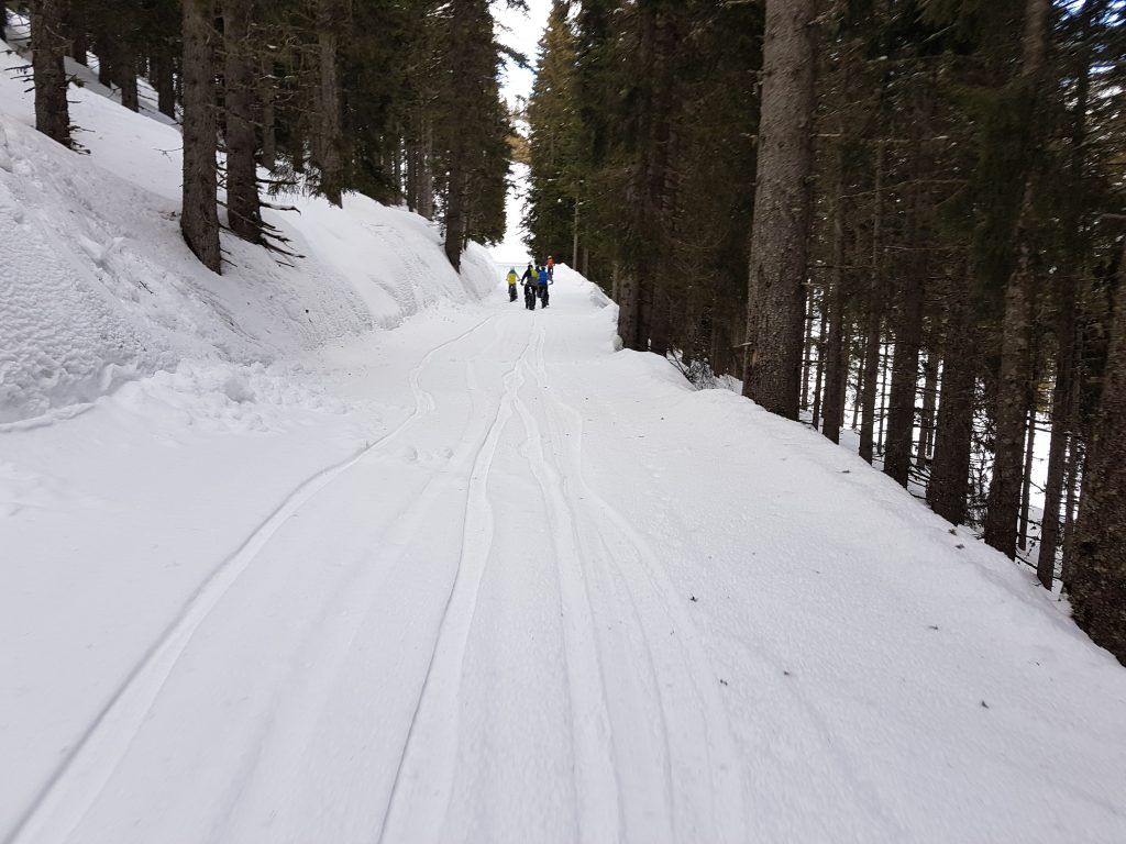 Fatbike sur la neige aux Carroz