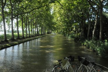 canal du midi et platanes