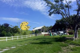 parc d'attraction fromage en Corée du Sud