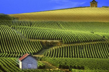 Reims et Champagne insolite