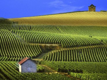 Reims et Champagne insolite