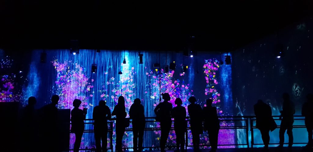 Team Lab au-delà des limites à la Villette