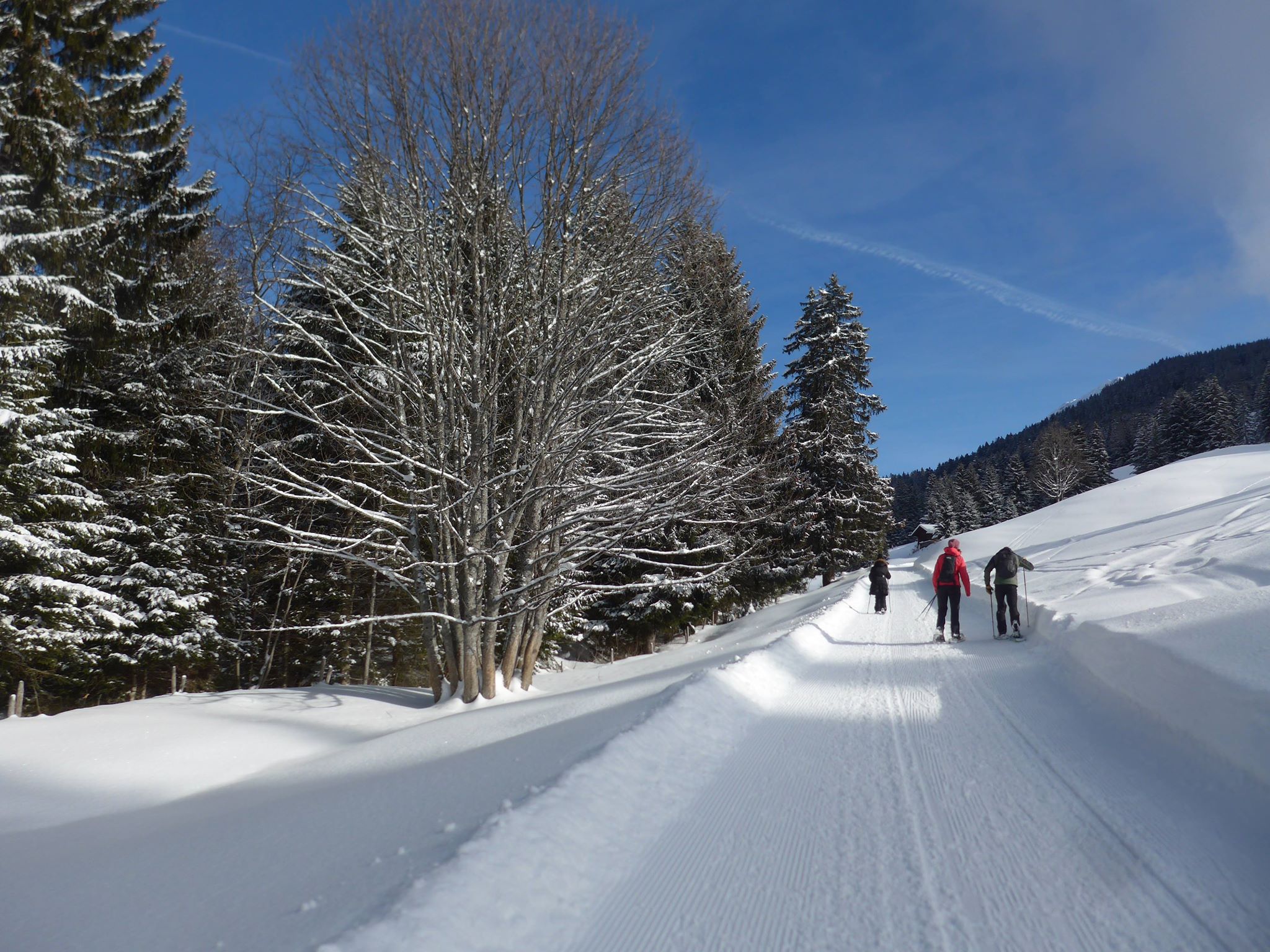 villars sur ollon en Suisse