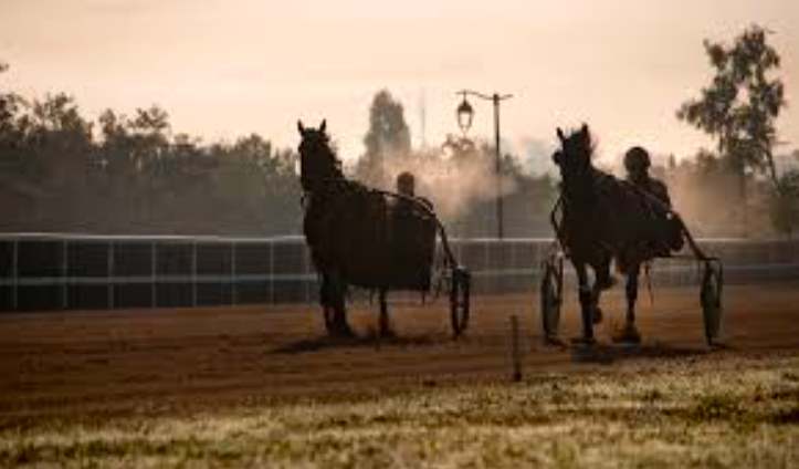 Entraînement à Grosbois 