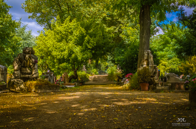 Cimetière pour chiens 