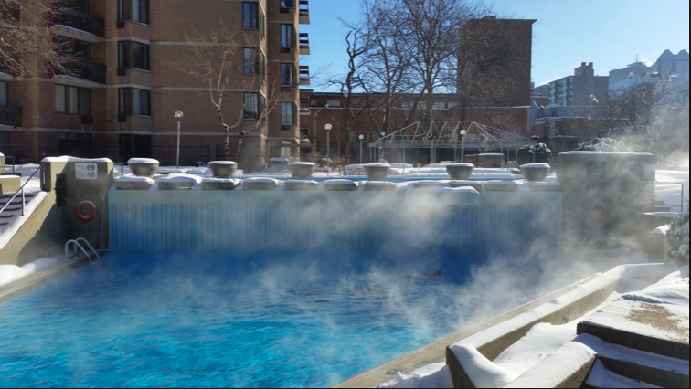 piscine club la cité
