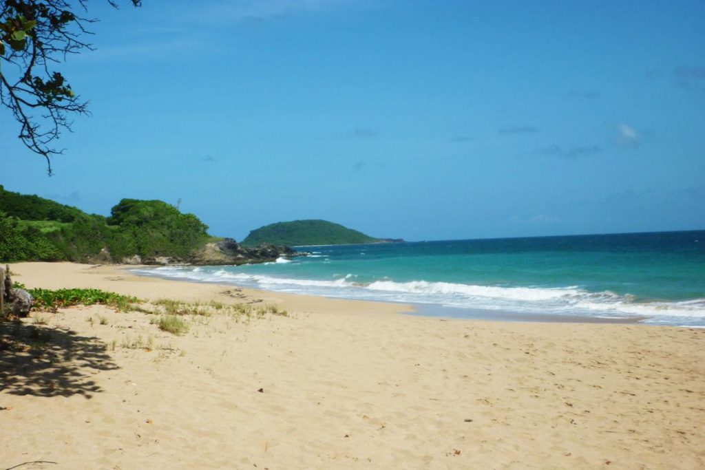 Plage de Cluny Guadeloupe