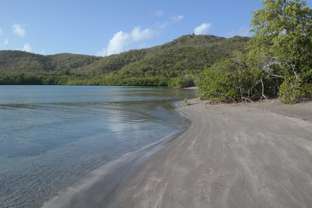 La Baie du trésor Martinique