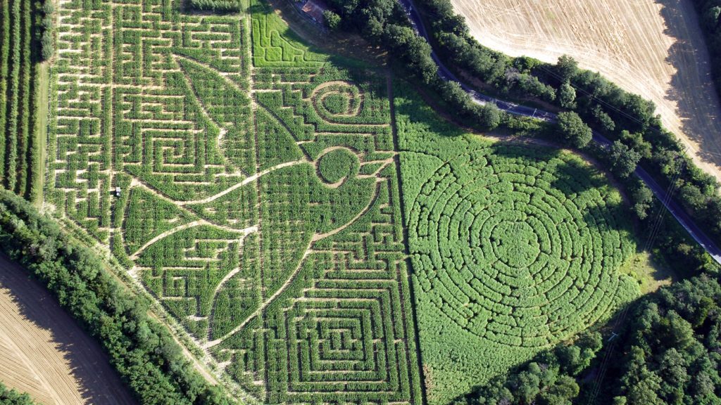 Motif du labyrinthe végétal vu d'en haut