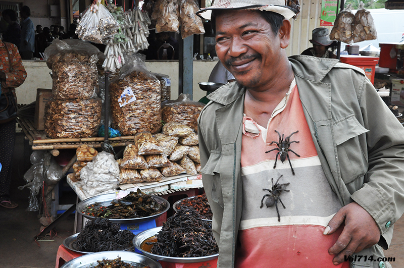 skun capitale de la mygale au Cambodge