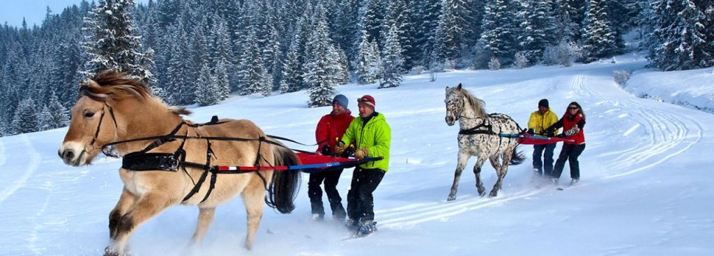ski joering