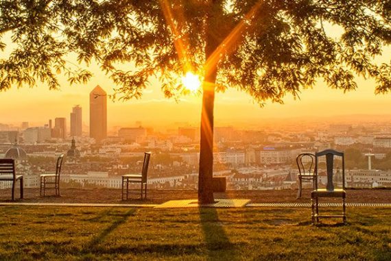 jardin des curiosités Lyon